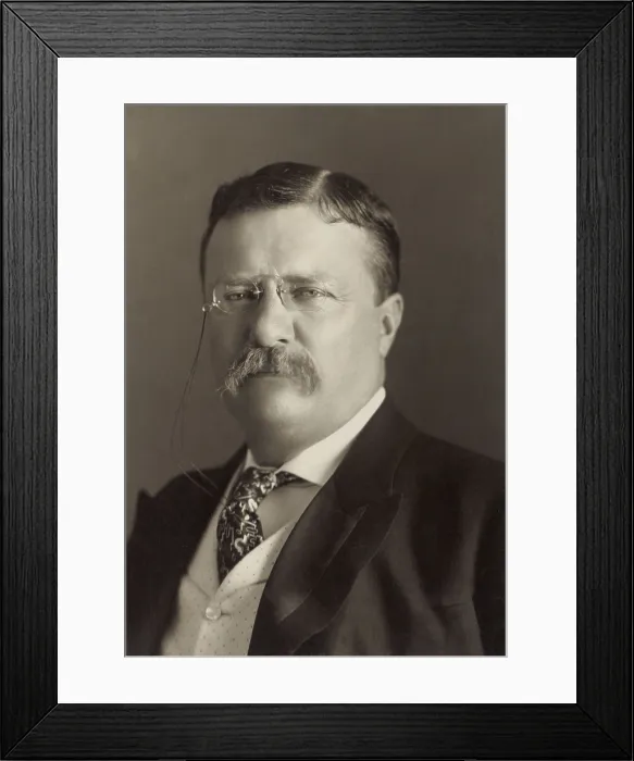 Framed Print : President Theodore Roosevelt, 1904 portrait by Pach Brothers of New York (BSLOC_2017_6_46)