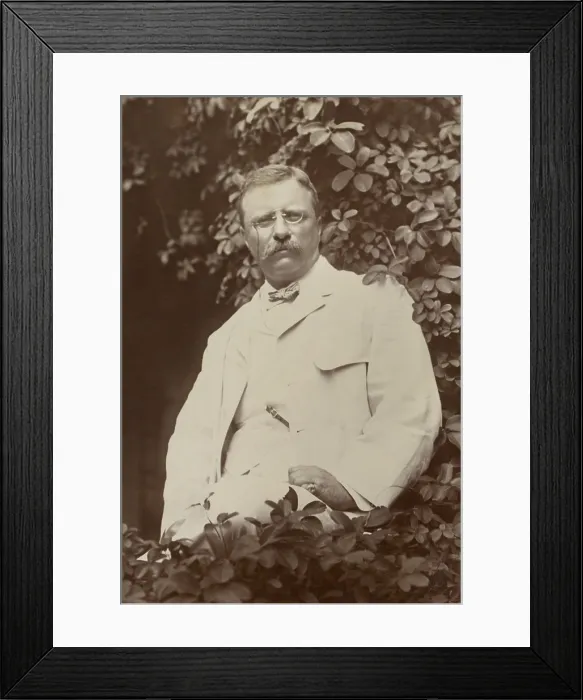 Framed Print : President Theodore Roosevelt, in a white summer suit on a veranda surrounded by tree leaves