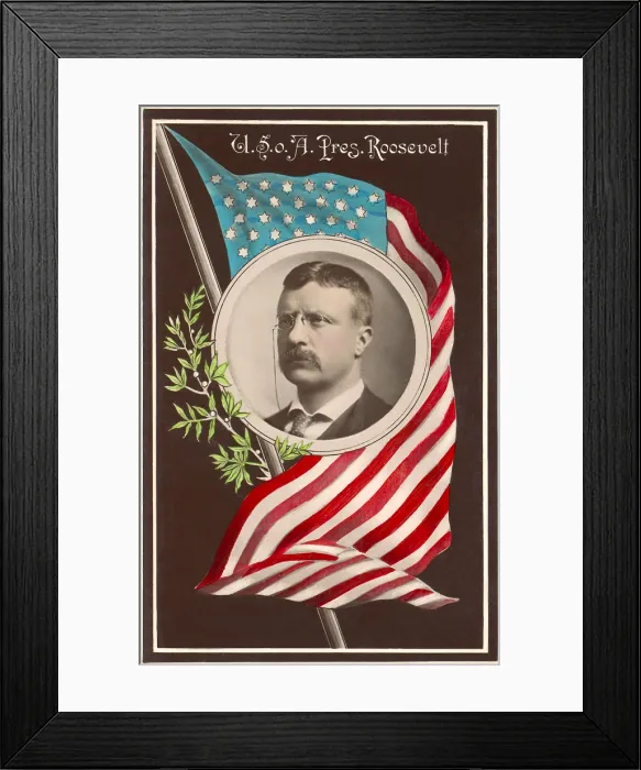 Framed Print : Portrait of President Theodore Roosevelt surrounded by the U.S. flag and a laurel branch, 1907 (BSLOC_2017_6_44) Framed Print : Portrait of President Theodore Roosevelt surrounded by the U.S. flag and a laurel branch, 1907 (BSLOC_2017_6_44)