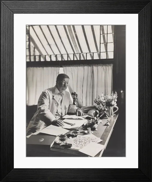 Framed Print : President Theodore Roosevelt, Sept. 1905, in his office at Sagamore Hill in Oyster Bay, NY (BSLOC_2017_6_49) Framed Print : President Theodore Roosevelt, Sept. 1905, in his office at Sagamore Hill in Oyster Bay, NY (BSLOC_2017_6_49)