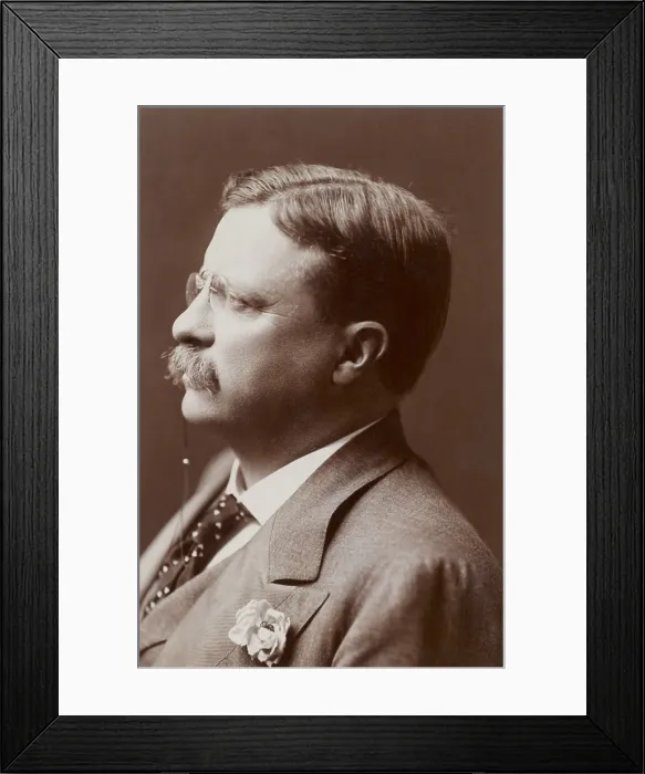 Framed Print : President Theodore Roosevelt, 1906 profile portrait wearing a flower in his lapel buttonhole (BSLOC_2017_6_51)