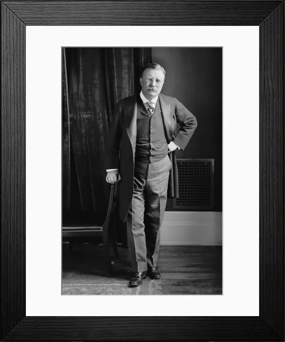 Framed Print : President Theodore Roosevelt, in 1907, possibly taken in the White House. Photo by Washington, D.C. firm, Harris & Ewing (BSLOC_2017_6_53) Framed Print : President Theodore Roosevelt, in 1907, possibly taken in the White House. Photo by Washington, D.C. firm, Harris & Ewing (BSLOC_2017_6_53)