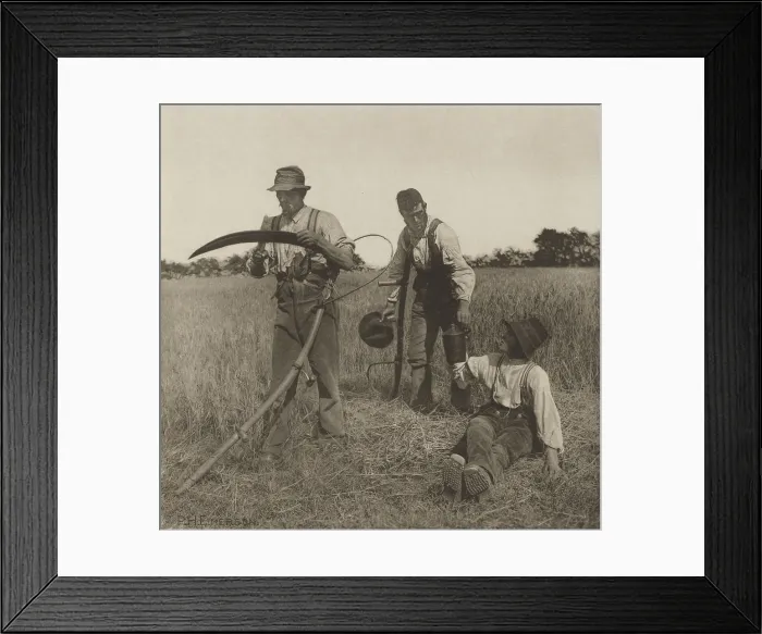Framed Print : Farmworkers during the Barley Harvest in Suffolk, by Peter Henry Emerson, c. 1883-87, East Anglia, England (BSLOC_2016_1_2)