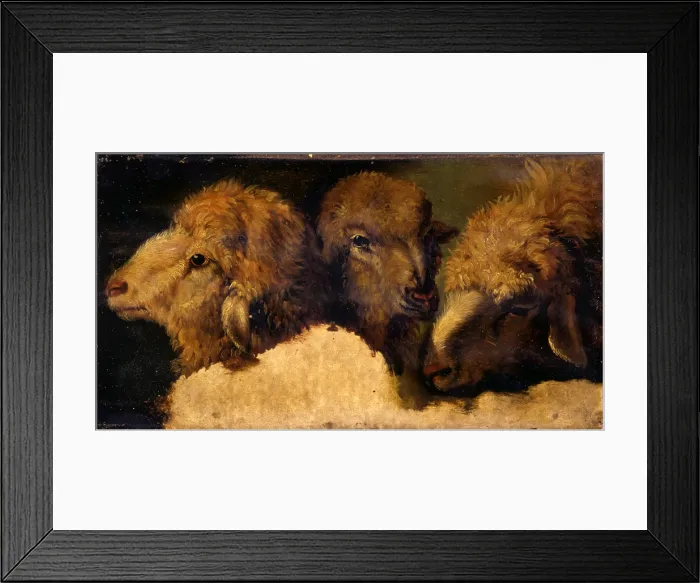 Framed Print : Study of Sheep Head, by Francesco Londonio, 18th Century, oil on paper on board - Italy, Lombardy, Milan, Castello Sforzesco, Civic Collections of Ancient Art. Whole artwork view Framed Print : Study of Sheep Head, by Francesco Londonio, 18th Century, oil on paper on board - Italy, Lombardy, Milan, Castello Sforzesco, Civic Collections of Ancient Art. Whole artwork view