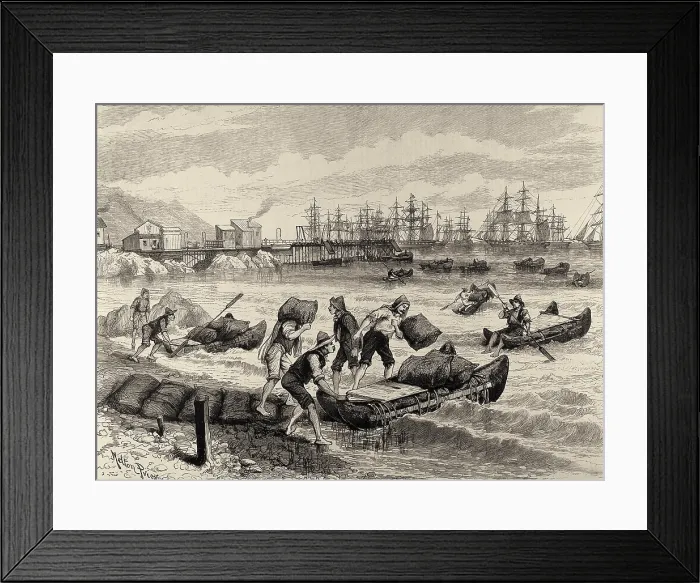Framed Print : Loading Chile saltpeter in Pascua (Chile). 1891. Engraving. - J. Bedmar / Iberfoto / Everett Collection (523034)**US SALES ONLY**