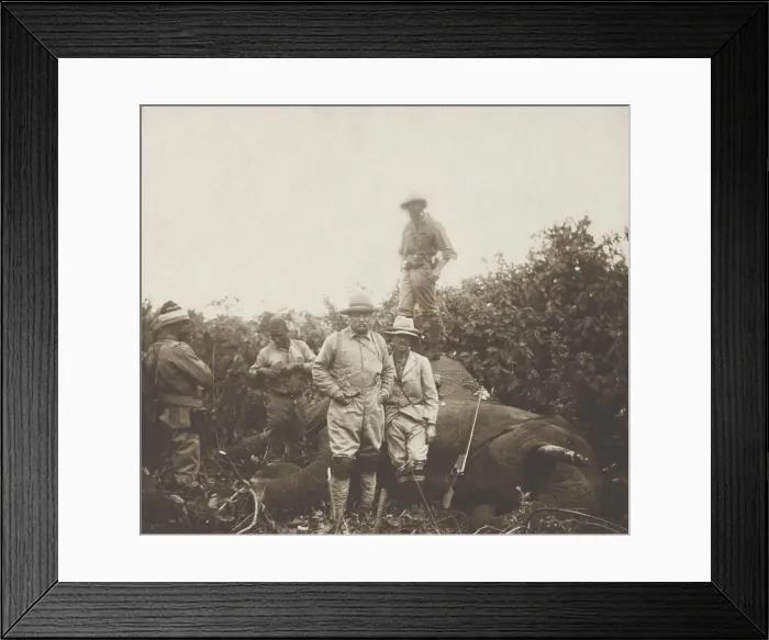 Framed Print : Safari group stands around a bull elephant Theodore Roosevelt shot at Meru, Kenya. TR stands in center, his son Kermit leans against the dead beast, and R. J
