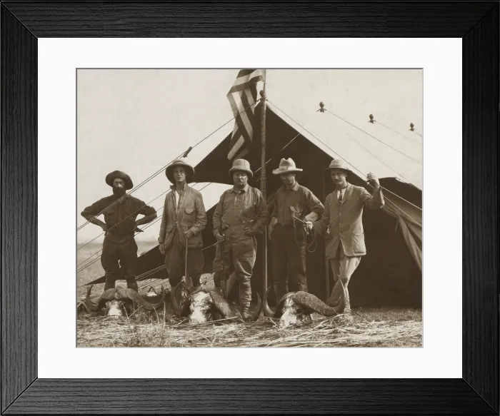 Framed Print : Members of Theodore Roosevelts safari stands behind African buffalo skulls. Standing in front of a tent, L-R: R. J