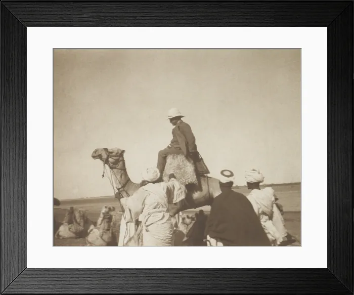 Framed Print : Theodore Roosevelt on a camel at Khartoum, Sudan, March 1910 Framed Print : Theodore Roosevelt on a camel at Khartoum, Sudan, March 1910
