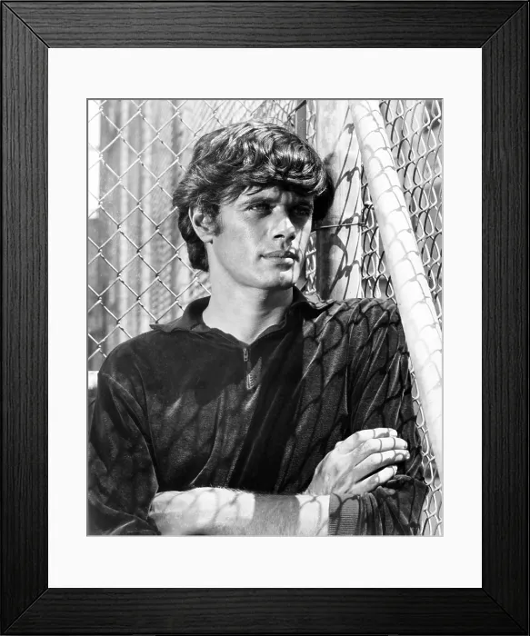 Framed Print : THE SWEET RIDE, Michael Sarrazin, 1968, TM & Copyright 20th Century Fox Film Corp. / courtesy Everett Collection Framed Print : THE SWEET RIDE, Michael Sarrazin, 1968, TM & Copyright 20th Century Fox Film Corp. / courtesy Everett Collection