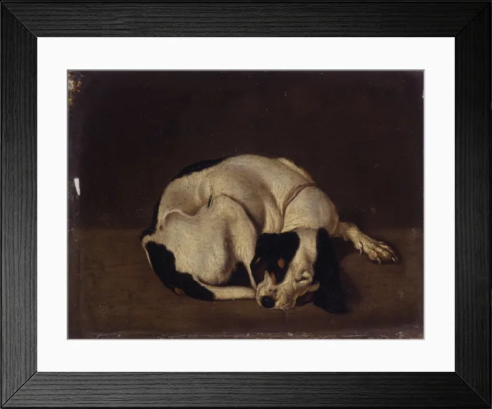 Framed Print : Sleeping Dog, after Arcangelo Resani, 18th Century, oil on board, 17 x 13 cm - Italy, Lombardy, Milan, Castello Sforzesco, Civic Collections of Ancient Art. Whole artwork view Framed Print : Sleeping Dog, after Arcangelo Resani, 18th Century, oil on board, 17 x 13 cm - Italy, Lombardy, Milan, Castello Sforzesco, Civic Collections of Ancient Art. Whole artwork view