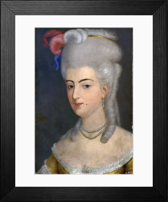 Framed Print : Portrait of the Marquis Pallavicini Durini, by Alessandro Durini, 19th Century, oil on canvas - Italy, Lombardy, Milan, Castello Sforzesco, Civic Collection of Ancient Art