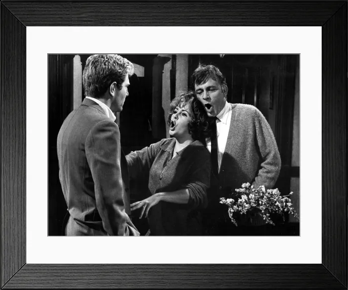 Framed Print : WHO'S AFRAID OF VIRGINIA WOOLF?, George Segal, Elizabeth Taylor, Richard Burton, 1966