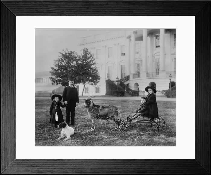 Framed Print : Major Russell Harrison and Harrison grandchildren, Baby McKee and Mary McKee on goat cart