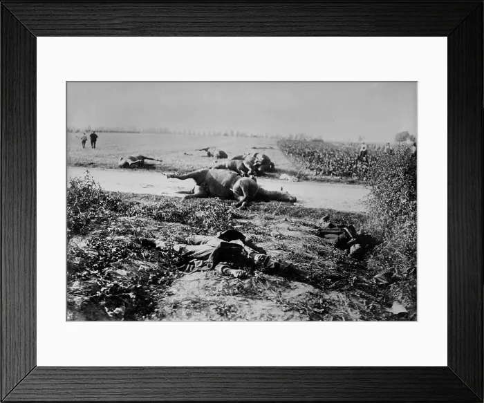 Framed Print : World War 1. Dead soldiers and horses in a field after the Battle of Haelen which was fought by the German and Belgian armies on August 12, 1914 in Belgium during World War I