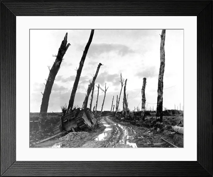 Framed Print : A disabled tank named Druid on a street corner of the devastated town of Poelcapelle, Belgium. The town was leveled and the trees stripped to their trunks. World War I