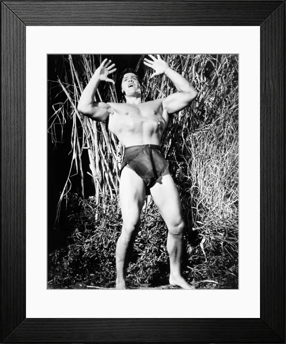Framed Print : TARZAN'S FIGHT FOR LIFE, Gordon Scott, 1958