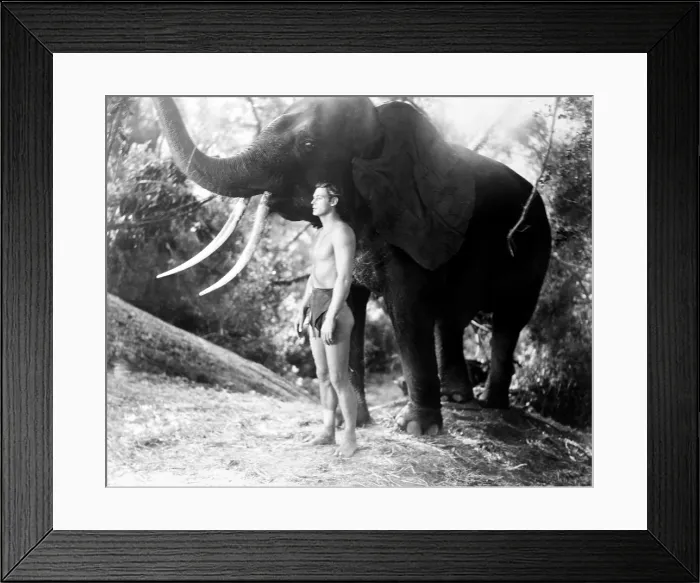 Framed Print : TARZAN ESCAPES, Johnny Weissmuller, 1936