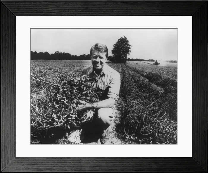 Framed Print : Former Georgia Governor and future President Jimmy Carter on his peanut farm in 1976. He inherited the farm from his father in 1953, and made it a successful prosperous business