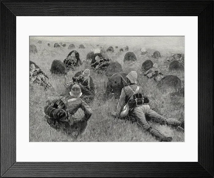 Framed Print : English soldiers fighting in Transvaal. Second Anglo-Boer War, 1899-1902. Engraving. - Coleccion Gasca / Iberfoto / Everett Collection (534057)**US SALES ONLY**