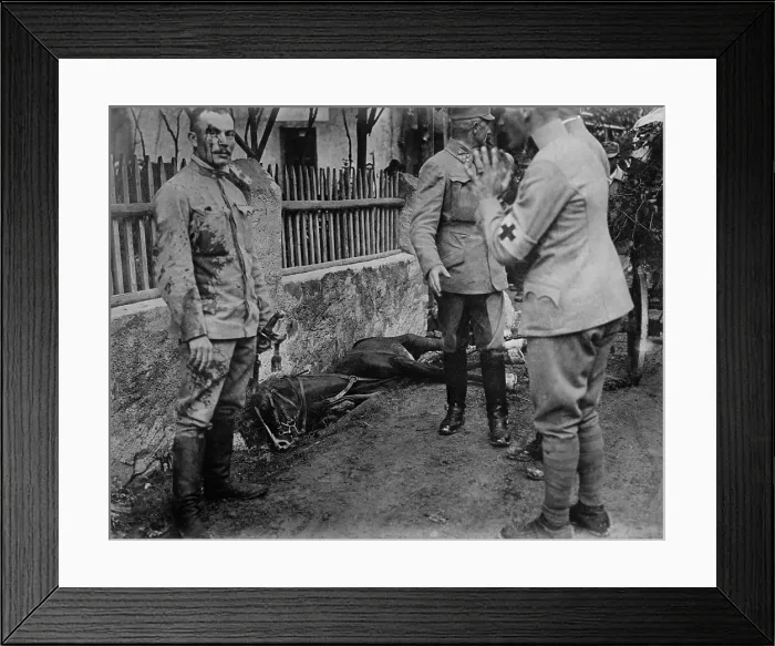 Framed Print : World War 1. Austrian officer wounded while on patrol in the Isonzo battle front. His head wound is attended by a medical officer. In the near background is a dead horse. Ca Framed Print : World War 1. Austrian officer wounded while on patrol in the Isonzo battle front. His head wound is attended by a medical officer. In the near background is a dead horse. Ca