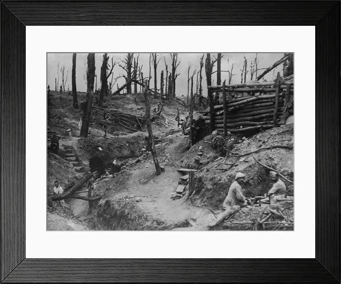 Framed Print : World War 1. Somme Offensive. A few Allied soldiers (probably French) soldiers occupy entrenchments and dugout bunkers in the shell blasted wood called Des Fermes in the Somme Framed Print : World War 1. Somme Offensive. A few Allied soldiers (probably French) soldiers occupy entrenchments and dugout bunkers in the shell blasted wood called Des Fermes in the Somme
