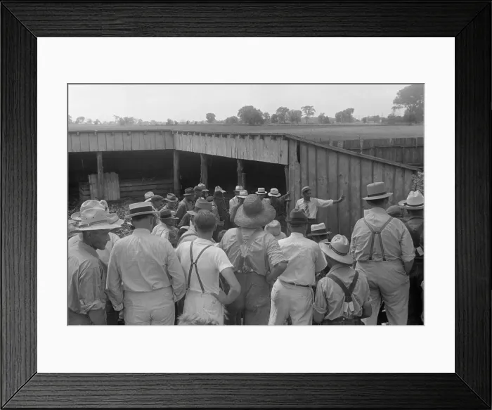 Framed Print : Spectators at public farm auction, central Ohio, Aug. 1938. (BSLOC_2013_8_88) Framed Print : Spectators at public farm auction, central Ohio, Aug. 1938. (BSLOC_2013_8_88)