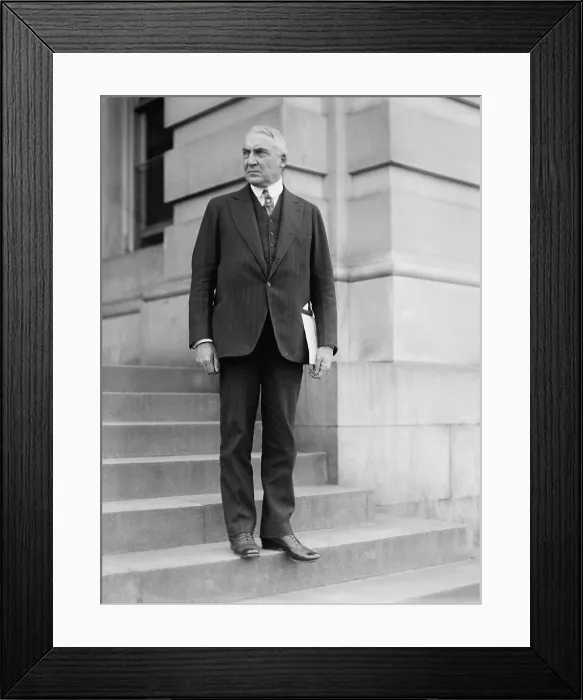 Framed Print : Senator Warren Harding on the steps of the U.S. Capitol, ca. 1918-1920. (BSLOC_2015_15_10)
