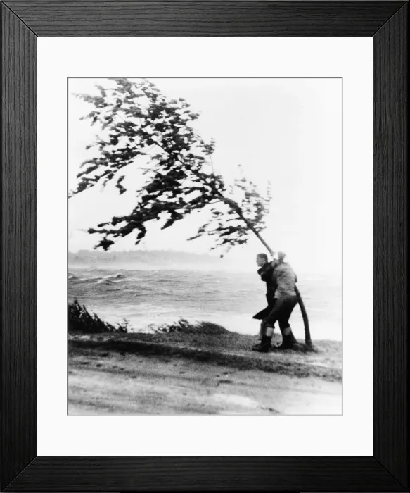 Framed Print : Two yachtsmen hang desperately to a tree which is almost blown over by hurricane Carol at Wollaston Beach in Quincy, Massachusetts, as their yacht smashed up against rocks Framed Print : Two yachtsmen hang desperately to a tree which is almost blown over by hurricane Carol at Wollaston Beach in Quincy, Massachusetts, as their yacht smashed up against rocks