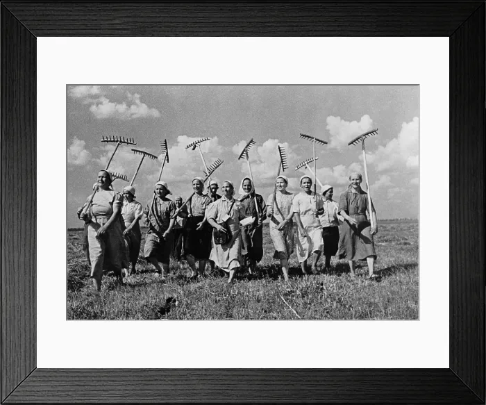 Framed Print : Women collective farmers replace the men who are fighting in World War 2. Klishevo collective farm, near Moscow, USSR, ca. 1941. (BSLOC_2013_9_103) Framed Print : Women collective farmers replace the men who are fighting in World War 2. Klishevo collective farm, near Moscow, USSR, ca. 1941. (BSLOC_2013_9_103)