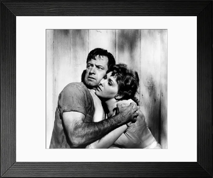 Framed Print : PICNIC, from left: William Holden, Kim Novak, 1955 Framed Print : PICNIC, from left: William Holden, Kim Novak, 1955
