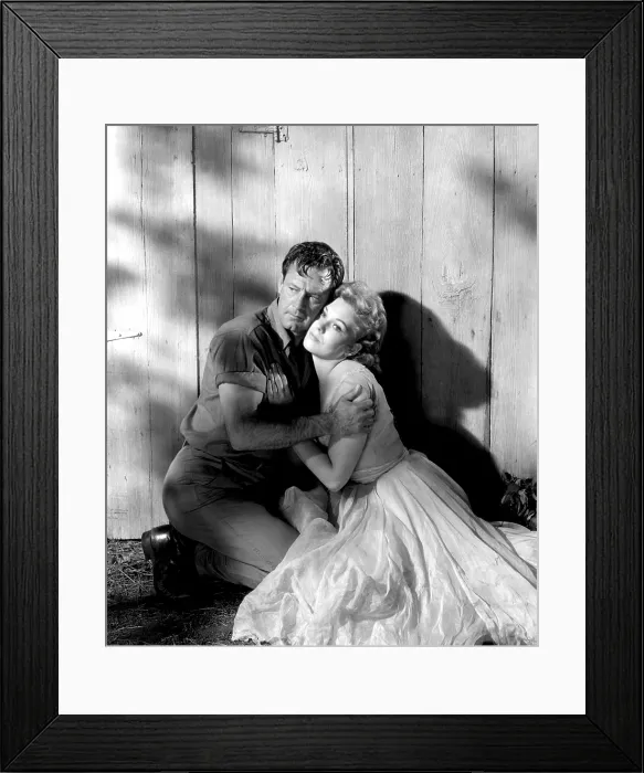 Framed Print : PICNIC, William Holden, Kim Novak, 1955