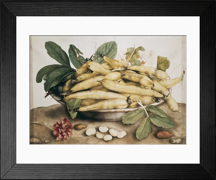 Framed Print : GARZONI, Giovanna (1600-1670). Still Life with Broad Bean. 17th c. Baroque art. Oil on canvas. ITALY. Florence. Pitti Palace Framed Print : GARZONI, Giovanna (1600-1670). Still Life with Broad Bean. 17th c. Baroque art. Oil on canvas. ITALY. Florence. Pitti Palace