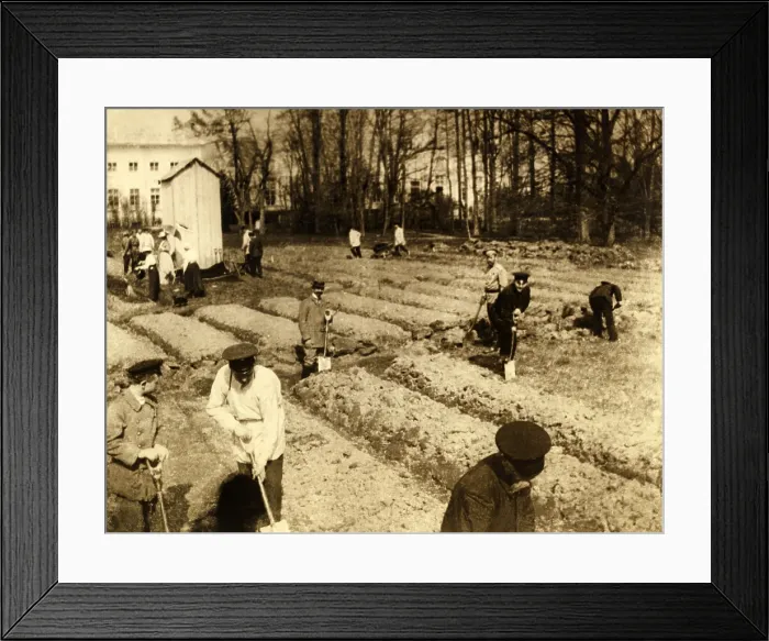 Framed Print : Imprisoned Russian Czar Nicholas II and family gardening at Tsarskoe-Selo. 1917. (BSLOC_2013_4_210)