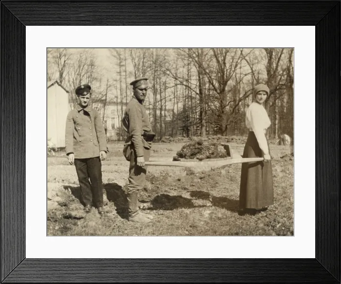 Framed Print : Imprisoned family of Russian Czar Nicholas II gardening at Tsarskoe-Selo. 1917 Framed Print : Imprisoned family of Russian Czar Nicholas II gardening at Tsarskoe-Selo. 1917