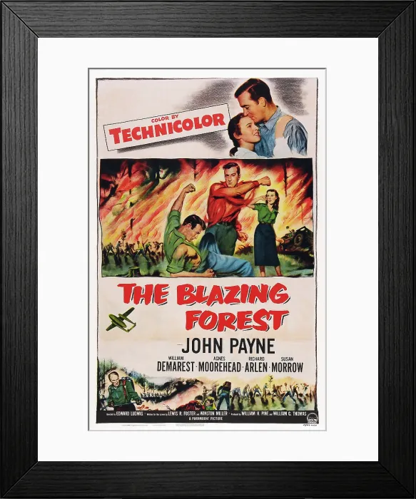 Framed Print : THE BLAZING FOREST, poster art, top l-r: Susan Morrow, John Payne, center l-r: Richard Arlen, John Payne, Susan Morrow, bottom right: William Demarest, 1952