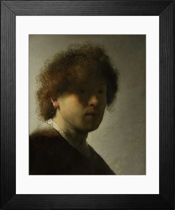 Framed Print : Self-Portrait, by Rembrandt Van Rijn, 1628, Dutch painting, oil on panel. At age 22 Rembrandt painted this self-portrait, gazing out from obscuring shadows