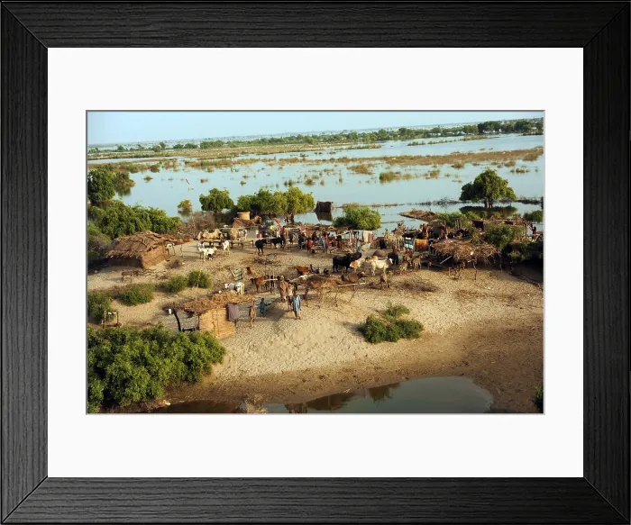 Framed Print : Communities in flood ravaged areas of the Sindh province Pakistan Sept 5 2010. (BSLOC_2011_12_382)