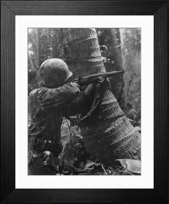 Framed Print : U.S. Marine fires at a Japanese sniper on Puruata Island. During landing operations in Empress Augusta Bay, Bougainville Island, Nov. 1943. Operation Cartwheel, World War 2