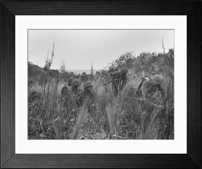 Framed Print : U.S. Marines patrol on Saipan advances through a grassy ravine. They follow Japanese communication lines in an effort to locate enemy positions
