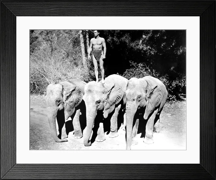 Framed Print : TARZAN THE APE MAN, Johnny Weissmuller, 1932 Framed Print : TARZAN THE APE MAN, Johnny Weissmuller, 1932