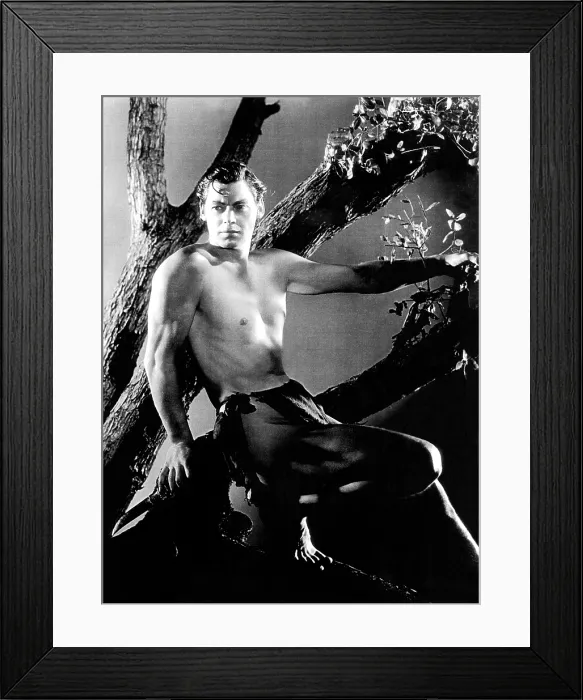Framed Print : TARZAN THE APE MAN, Johnny Weissmuller, 1932