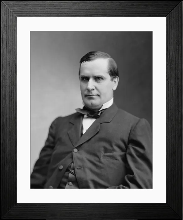 Framed Print : The future President, Congressman William McKinley, bore a facial resemblance to Napoleon