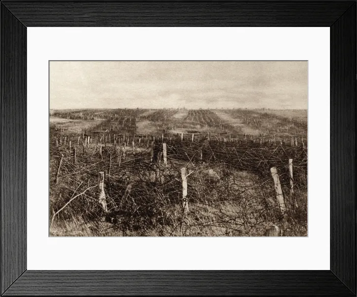Framed Print : World War 1. Miles of barbed wire forms a maze of twisted stands through which attacking troops must penetration