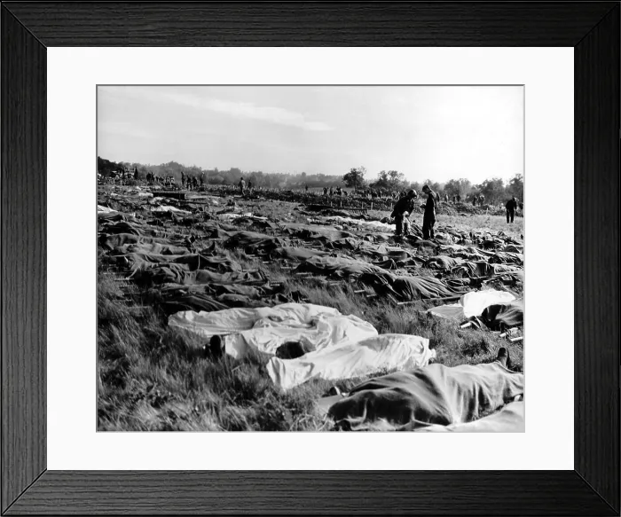 Framed Print : Hundreds of dead soldiers in stretchers covered with a blankets after D-Day