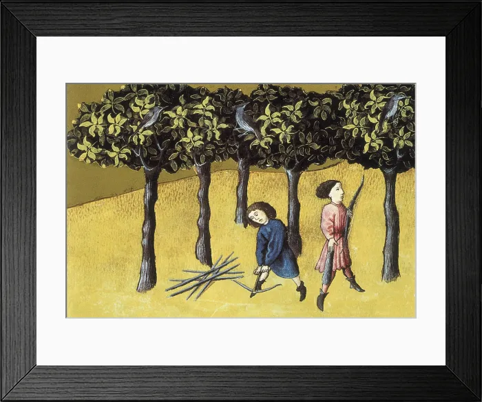 Framed Print : Codex Granatensis: De natura rerum. 1400. Illustration about the Yew. Edition of Granada of the original of the 13th C. Gothic art. Miniature Painting. SPAIN. Granada Framed Print : Codex Granatensis: De natura rerum. 1400. Illustration about the Yew. Edition of Granada of the original of the 13th C. Gothic art. Miniature Painting. SPAIN. Granada