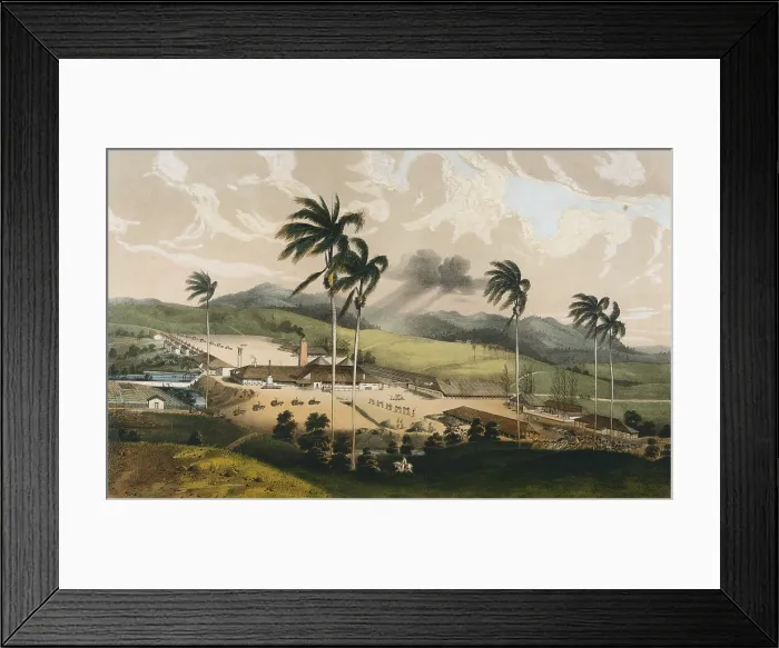 Framed Print : LAPLANTE, Eduardo (1818-1860). Libro de los Ingenios. 1856 - 1857. Cuba (19th c.). 'Ingenio Guinia' (sugar mill Guinia) Framed Print : LAPLANTE, Eduardo (1818-1860). Libro de los Ingenios. 1856 - 1857. Cuba (19th c.). 'Ingenio Guinia' (sugar mill Guinia)