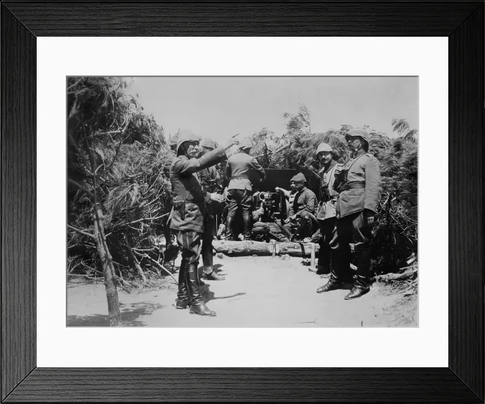 Framed Print : Camouflaged Turkish artillery on the Gallipoli peninsula during World War 1. They were equipped and trained by their German allies. April 1915-Jan. 1916 (BSLOC_2017_1_152)