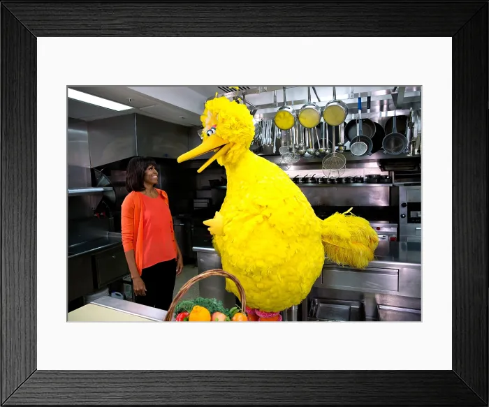 Framed Print : First Lady Michelle Obama with Big Bird in the White House Kitchen, Feb. 13, 2013