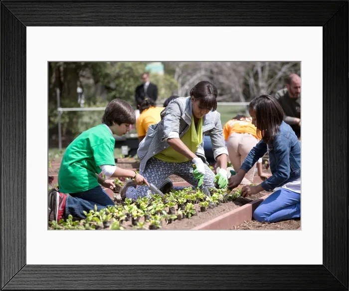 Framed Print : White House Kitchen Garden spring planting with Michelle Obama and School children. South Lawn, April 4, 2013 (BSLOC_2015_13_175)