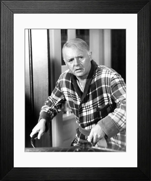 Framed Print : W.C. FIELDS AND ME, Rod Steiger, 1976